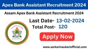 Apex Bank Assistant Recruitment 2024