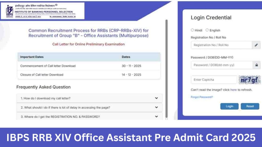IBPS RRB XIV Office Assistant Pre Admit Card 2025
