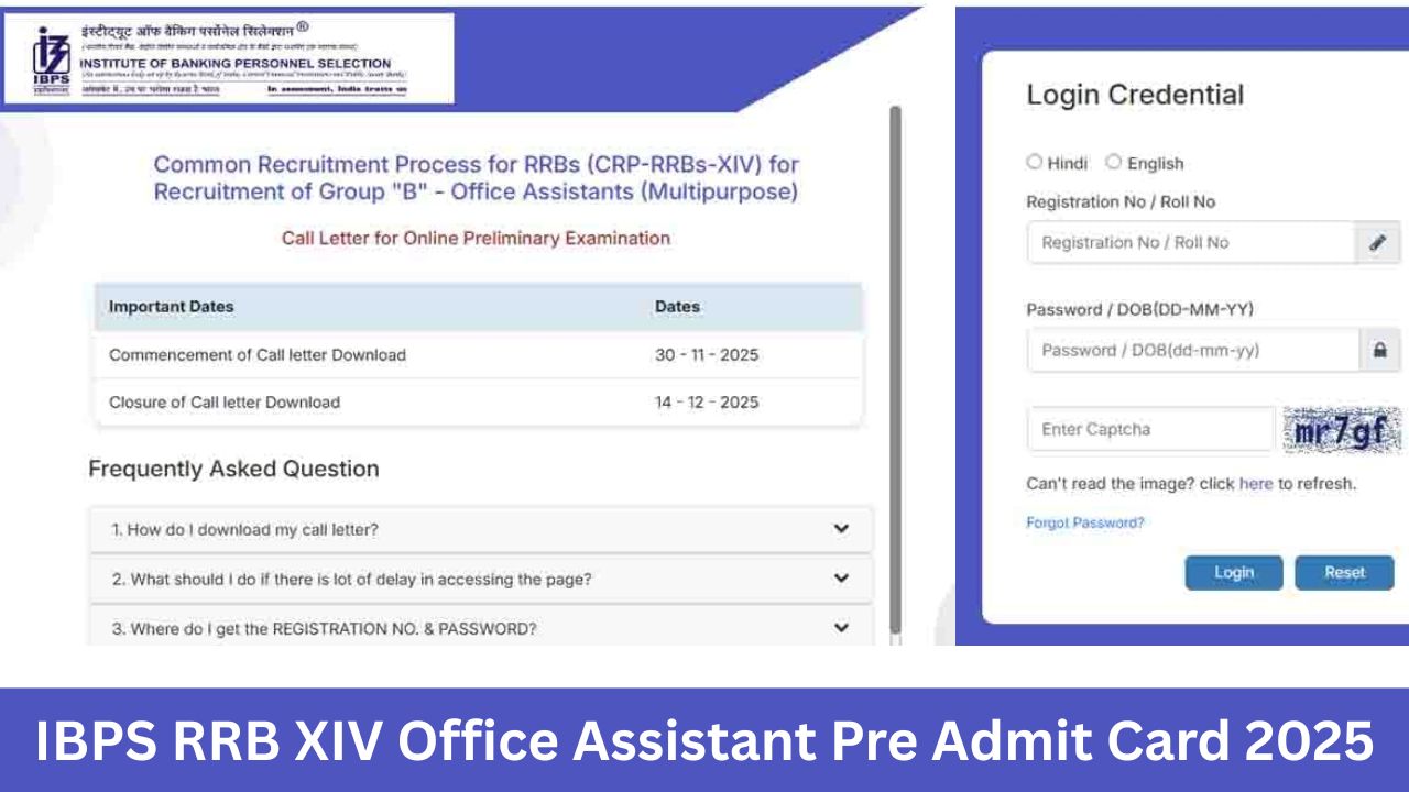 IBPS RRB XIV Office Assistant Pre Admit Card 2025